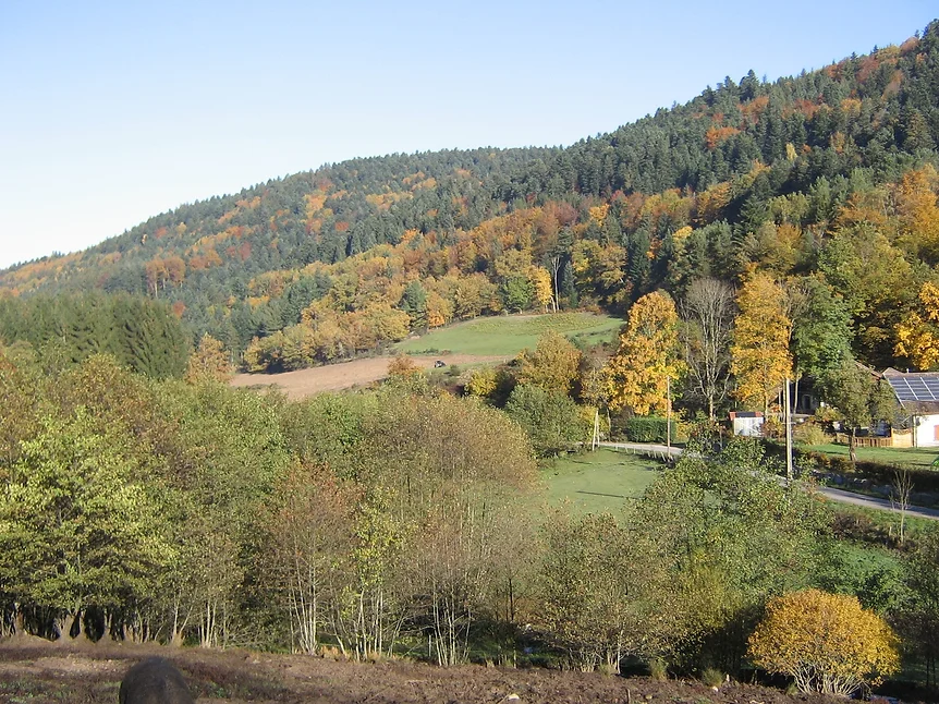 Infernal Trail des Vosges