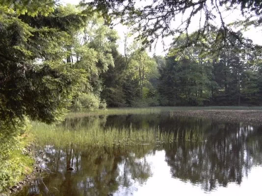 infernal trail des vosges hebergement petit etang d ca