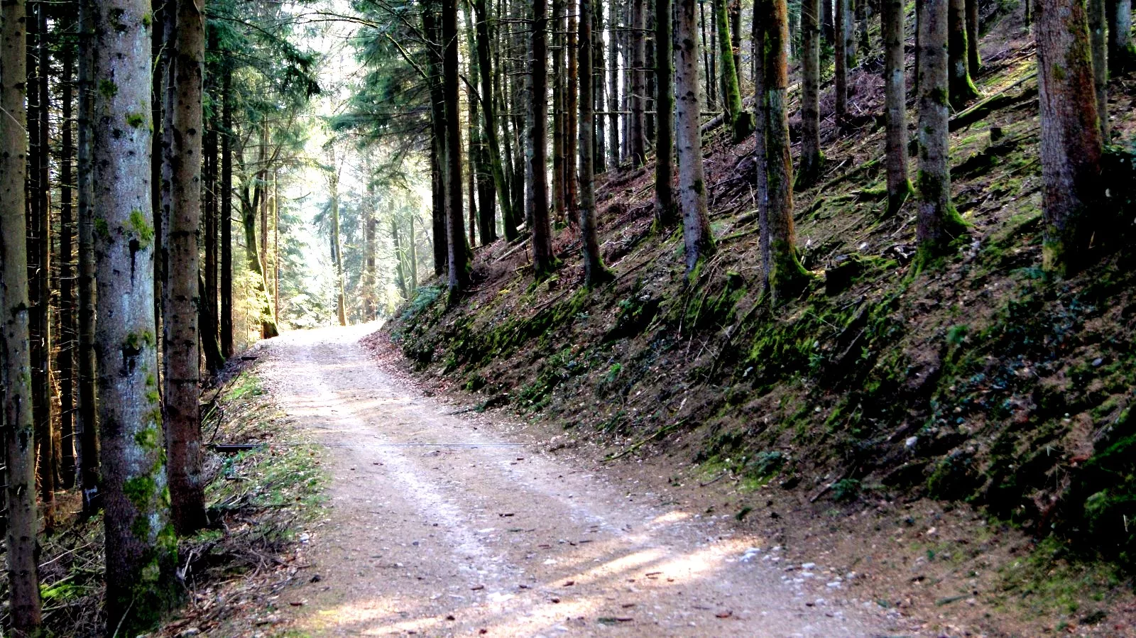 Infernal Trail des Vosges